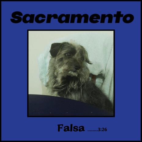 Falsa (Demo) | Boomplay Music