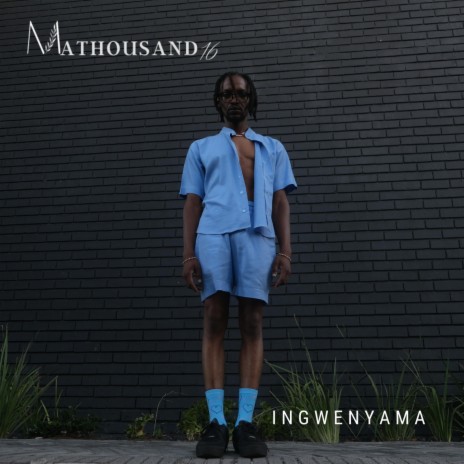 Ingwenyama | Boomplay Music