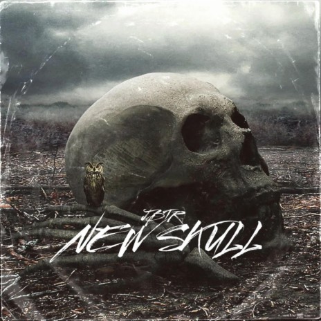 New Skull | Boomplay Music