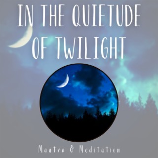 In the Quietude of Twilight, Echoes of Lost Melodies