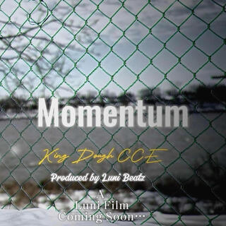 Momentum