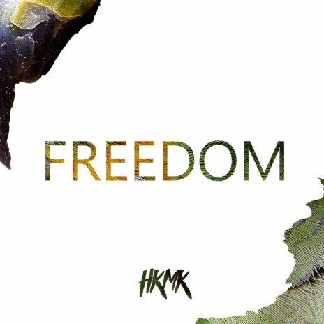 FREEDOM ft. Tiin | Boomplay Music