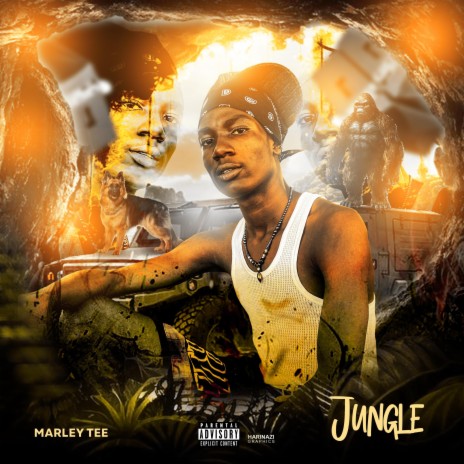 JUNGLE | Boomplay Music