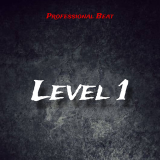 Level 1