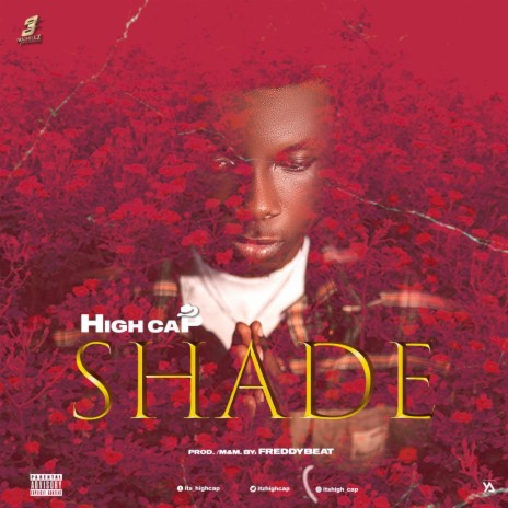 Shade | Boomplay Music