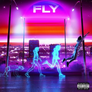 Fly