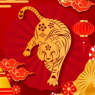 Year Of The Tiger