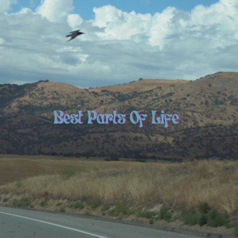 Best Parts of Life | Boomplay Music