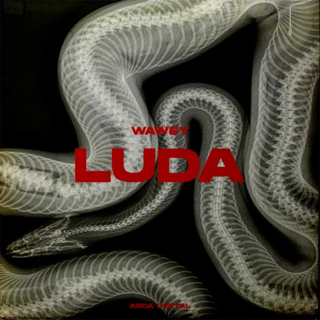 Luda | Boomplay Music