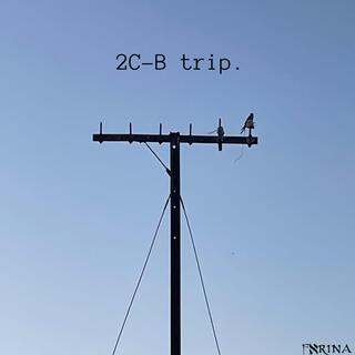 2C-B trip