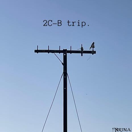 2C-B trip | Boomplay Music