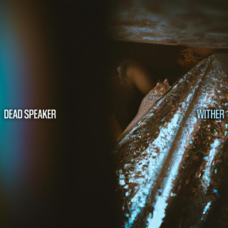 Wither lyrics | Boomplay Music