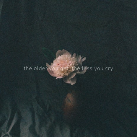 the older you get, the less you cry | Boomplay Music