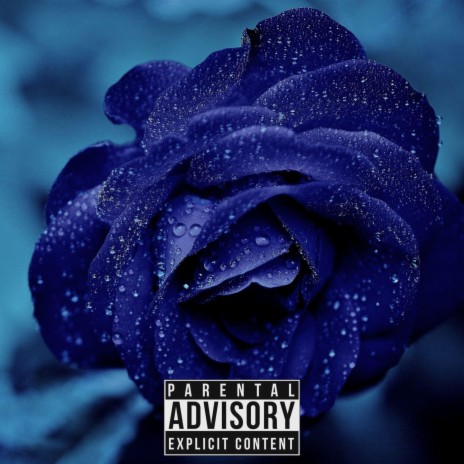 Blue Violet | Boomplay Music
