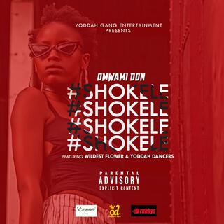 SHOKELE ft. Wildest Flower lyrics | Boomplay Music