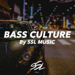 Bass Boosted Car Music 2024