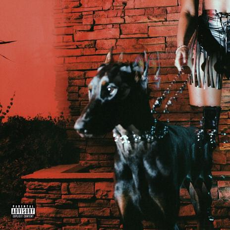 Dog Pound | Boomplay Music