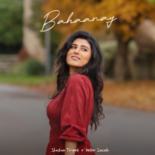 Bahaanay ft. Valter Soosalu lyrics | Boomplay Music
