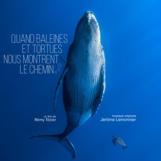 Quand baleines et tortues nous montrent le chemin (Original TV Soundtrack)