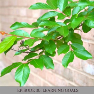 Episode 30: Learning Goals