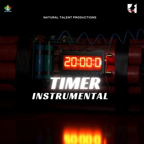 TIMER INSTRUMENTAL (SYCKA)