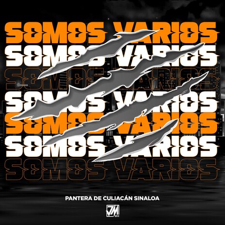 Somos Varios | Boomplay Music