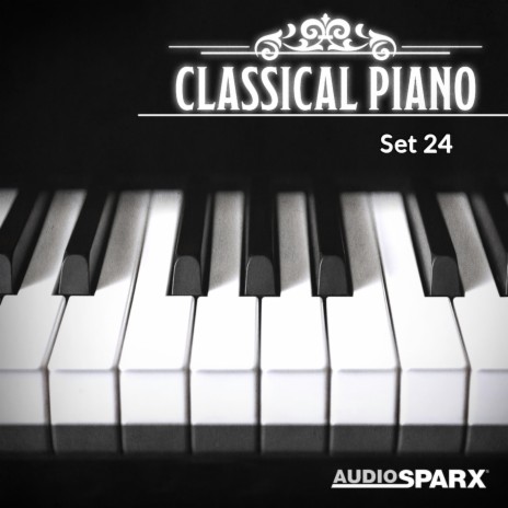 Chopin, Piano Waltz in B Minor, Op. 69, No. 2 | Boomplay Music