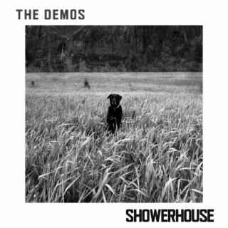 The Demos