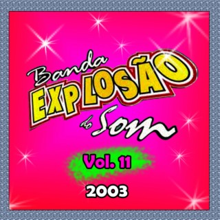 2003 - VOL. 11