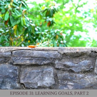 Episode 31: Learning Goals, Part Two