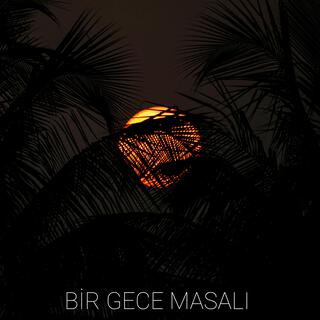 Bir Gece Masalı