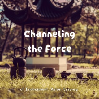 Channeling the Force of Environment, Asian Essence