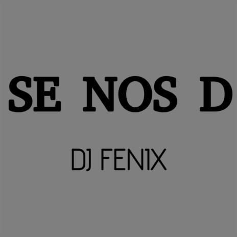 SE NOS D DJ FENIX | Boomplay Music
