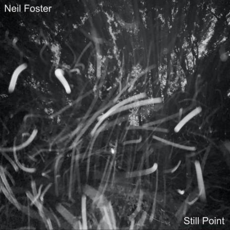 Still Point | Boomplay Music