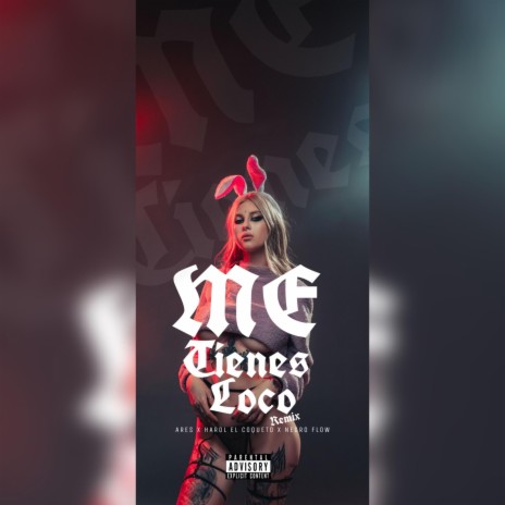 Remix me tienes loco x Harol el coqueto x Negro flow | Boomplay Music