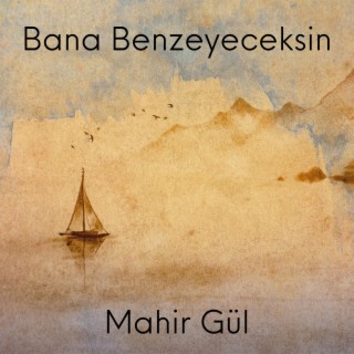 Bana Benzeyeceksin lyrics | Boomplay Music