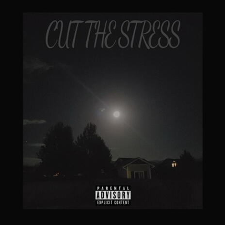 Cut The Stress | Boomplay Music