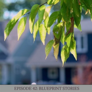 Episode 42: Blueprint Stories
