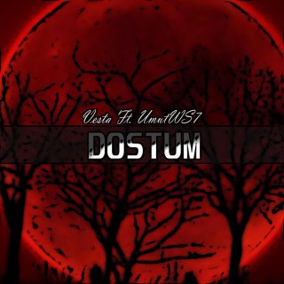 DOSTUM ft. UmutWS7 lyrics | Boomplay Music