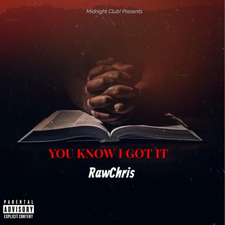 You Know I Got It | Boomplay Music
