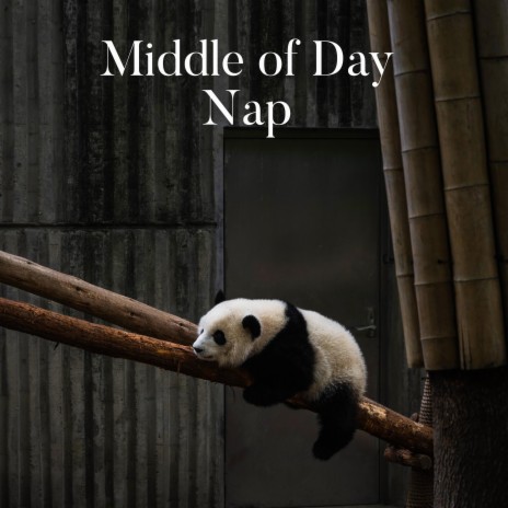 Middle Of Day Nap | Boomplay Music