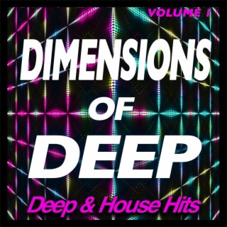 Dimensions of Deep, Vol.1 - Deep & House Hits