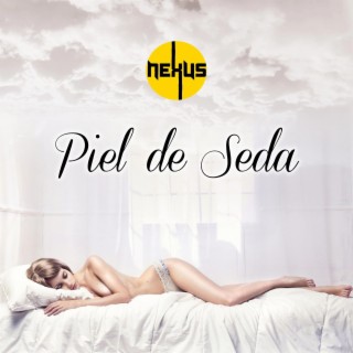 Piel de seda lyrics | Boomplay Music