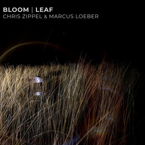 Bloom ft. Marcus Loeber | Boomplay Music