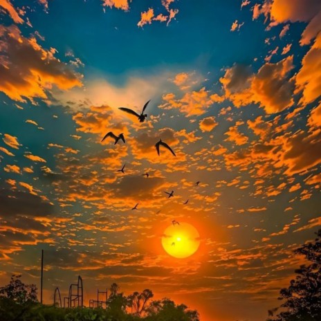 Migratory birds (Mix version) | Boomplay Music