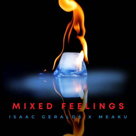 Mixed Feelings (Remix) ft. Meaku | Boomplay Music