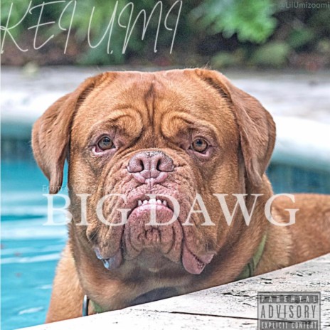 Big Dawg | Boomplay Music