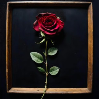 Broken Hearts, Thorns, And Roses (Remastered)