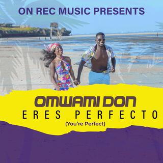 ERES PERFECTO lyrics | Boomplay Music