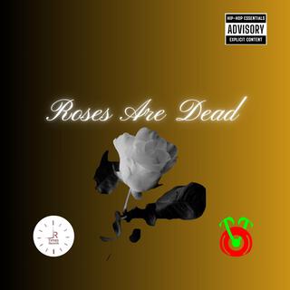 Roses Are Dead